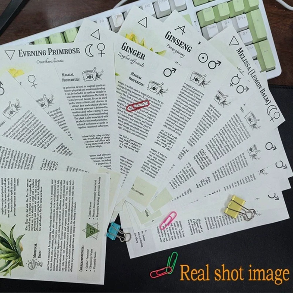 Livre de recettes de teintures - Herbal Wellness Guide avis et prix