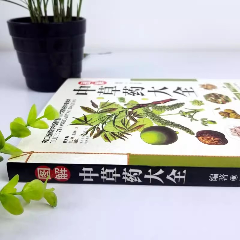 Le guide holistique de bien-êt - Herbal Holistic Wellness avis et prix