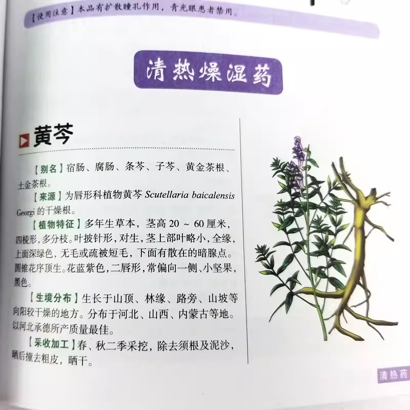 Le guide holistique de bien-êt - Herbal Holistic Wellness avis et prix